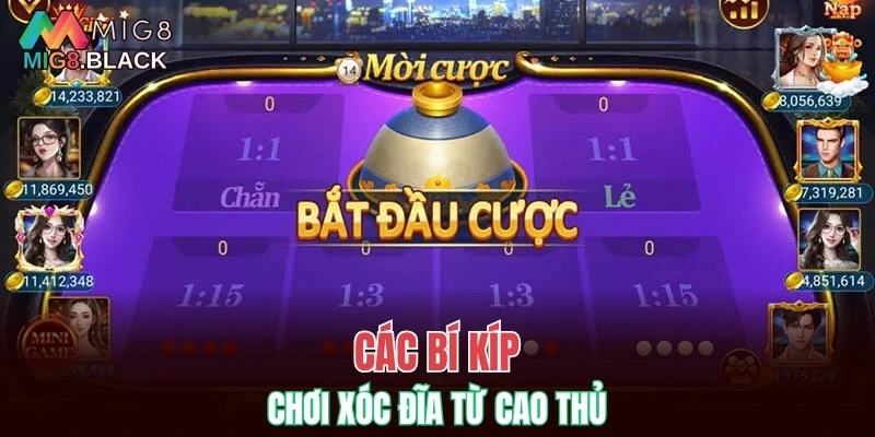 Các bí kíp chơi xóc đĩa từ cao thủ