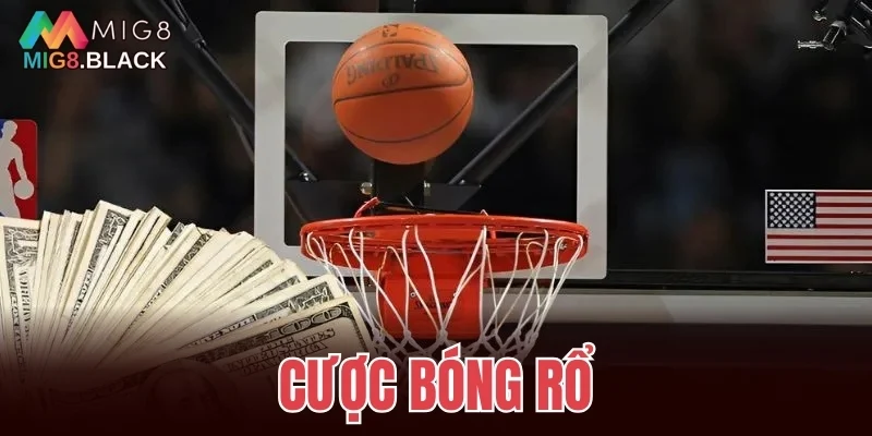 cược bóng rổ