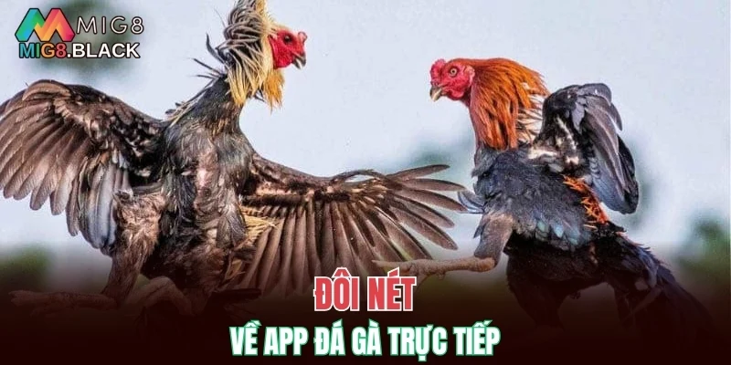 Đôi nét về app đá gà trực tiếp