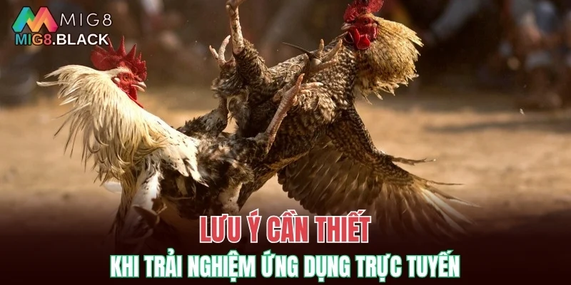 Lưu ý cần thiết khi trải nghiệm ứng dụng trực tuyến