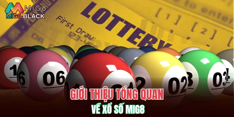 Xổ Số MIG8 5 Giới thiệu tổng quan về xổ số MIG8