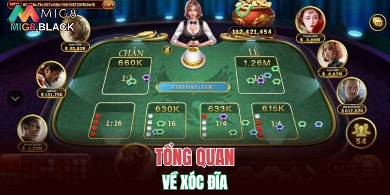 Tổng quan về xóc đĩa